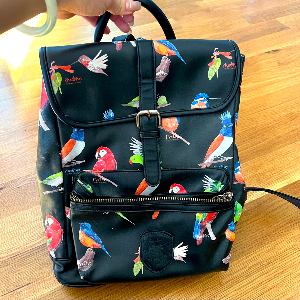 Used Backpack